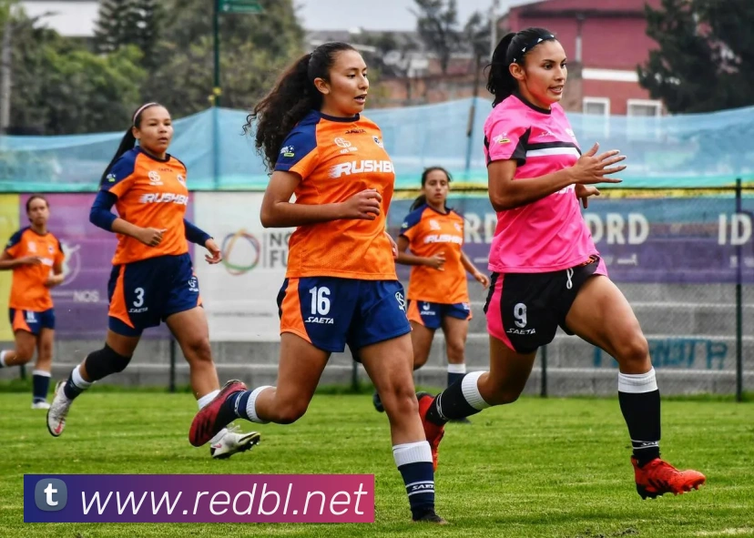 必一体育sport官网APP 高清赛事图